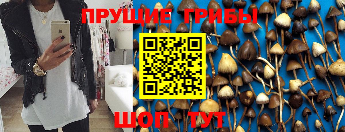 Псилоцибиновые грибы мицелий  Вход с VPN  Зеленогорск 